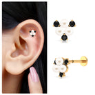 Real Freshwater Pearl Cluster Cartilage Earring with Black Spinel Freshwater Pearl - ( AAA ) - Quality - Arisha Jewels