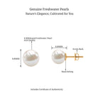 Arisha Jewels-Simple Freshwater Pearl Solitaire Stud Earrings